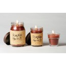 Pumpkin Harvest 16 oz jar candle