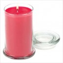 Wild Berry Jar Candle