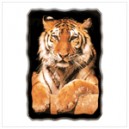 Golden Tiger Wall Clock